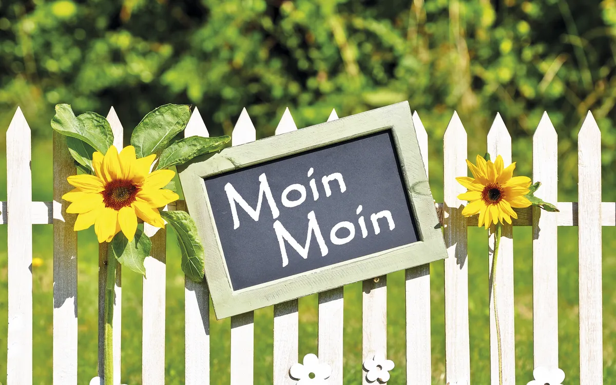 Moin moin