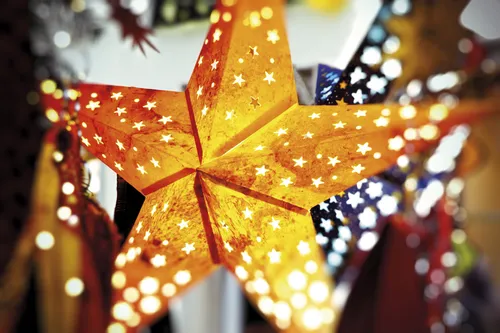 Gelber Weihnachtsstern in warmer Beleuchtung mit stimmungsvollem Bokeh.