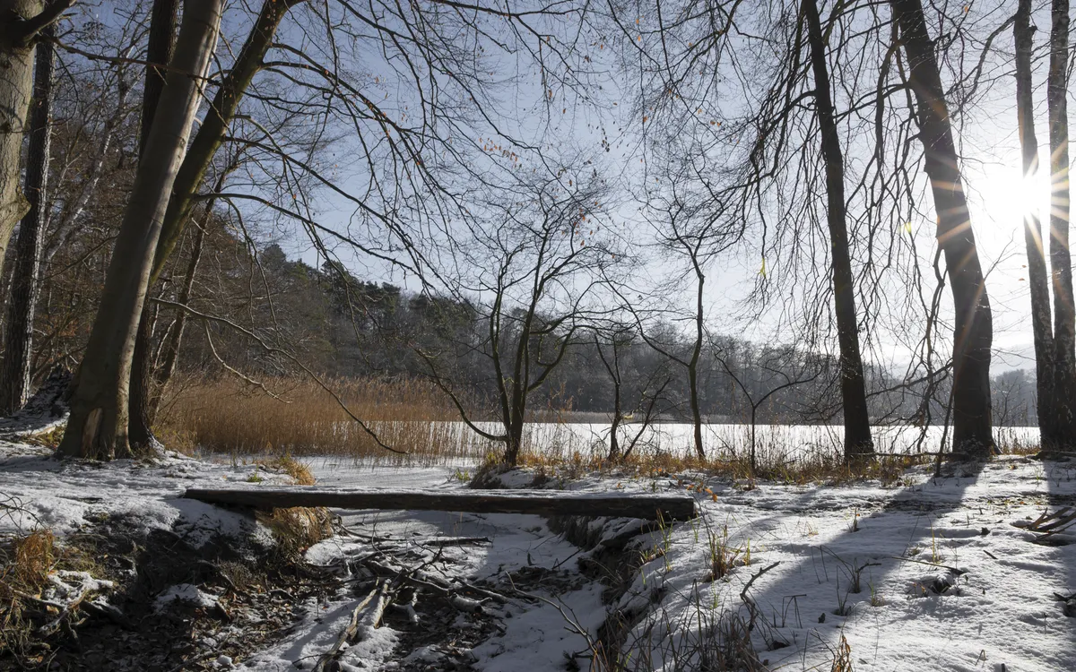 Die Sonne scheint im Winter mitten in einen Naturschutzgebiet im