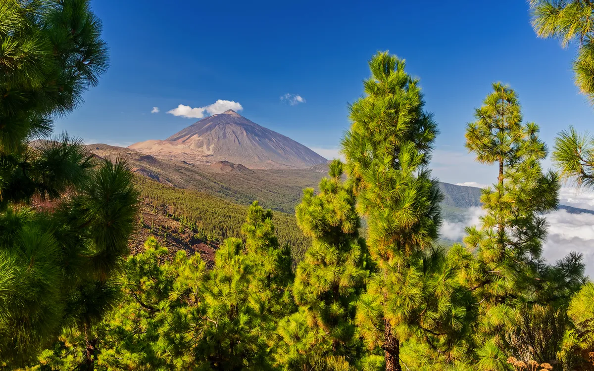 Vulkan Teide – Blick vom Mirador La Crucita