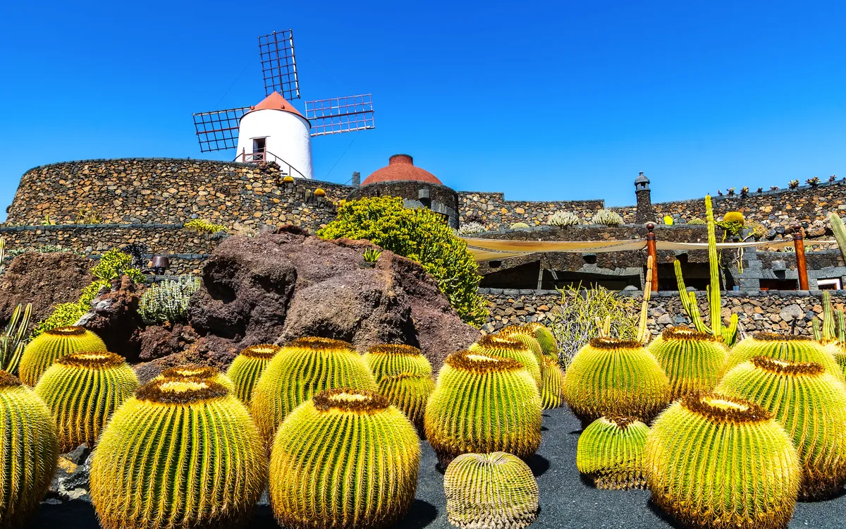 Kaktusgarten (Jardin de Cactus) im Dorf Guatiza auf Lanzarote