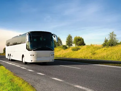 Reisebus fährt auf einer Landstraße bei sonnigem Wetter, umgeben von grünen Wiesen und Bäumen.