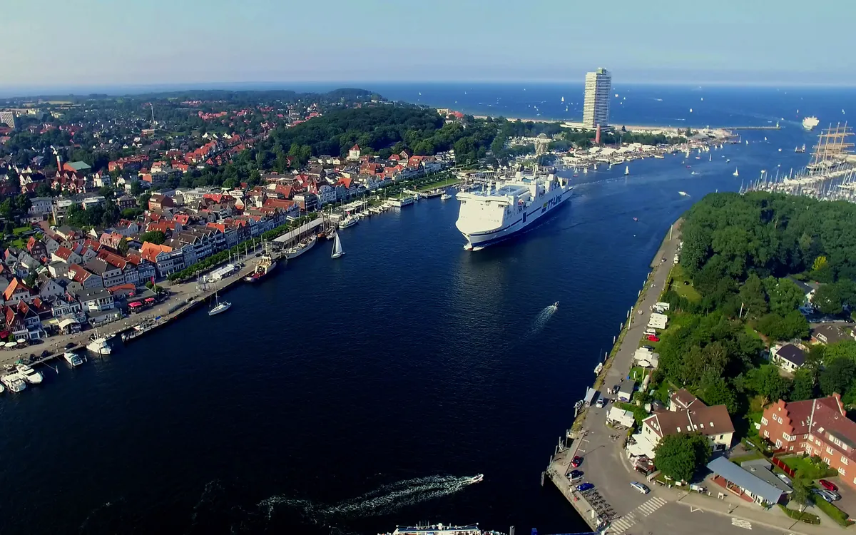 Elchsafari Schweden