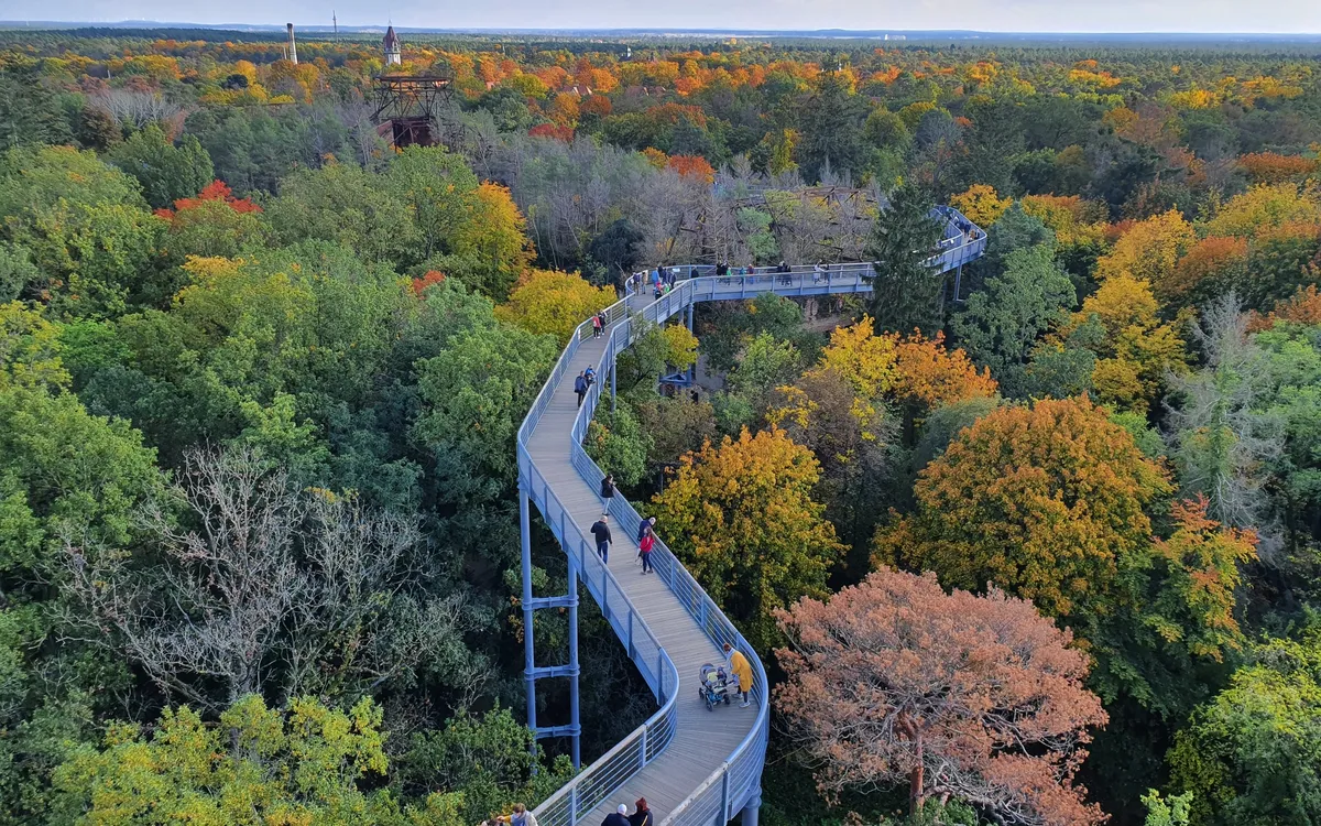 Erhöhte Holzwegbrücke über einen bunten Herbstwald mit Spaziergängern.