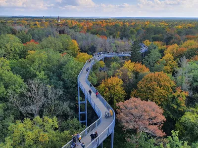 Erhöhte Holzwegbrücke über einen bunten Herbstwald mit Spaziergängern.