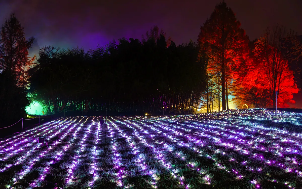 Lichtermeer in einem parkähnlichen Garten bei Nacht