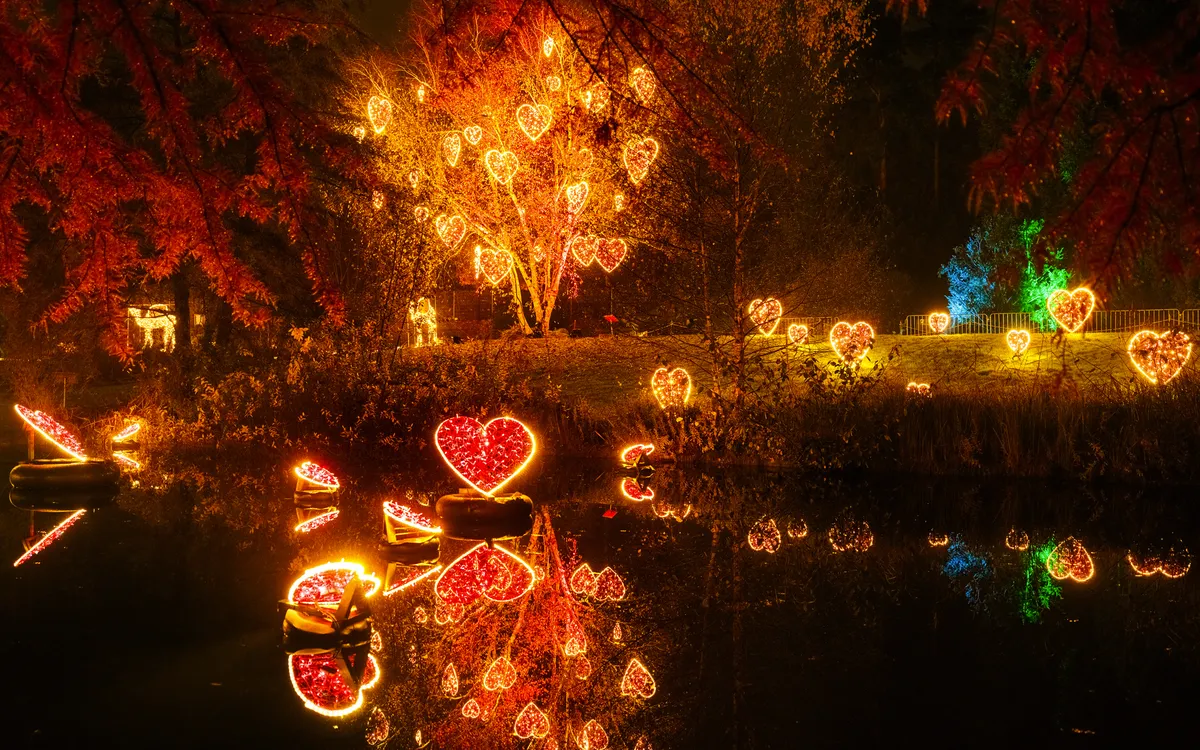 Lichter in Herzform spiegeln sich in einem Teich bei Nacht im Christmas Garden Hamburg.