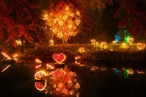 Lichter in Herzform spiegeln sich in einem Teich bei Nacht im Christmas Garden Hamburg.