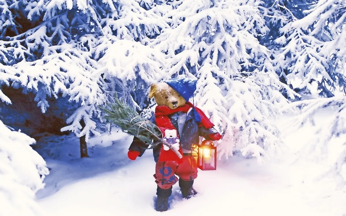 Teddyweihnacht_fotofrank_fotolia
