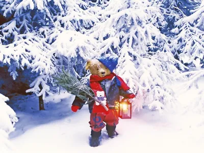 Weihnachtstal Mühltal