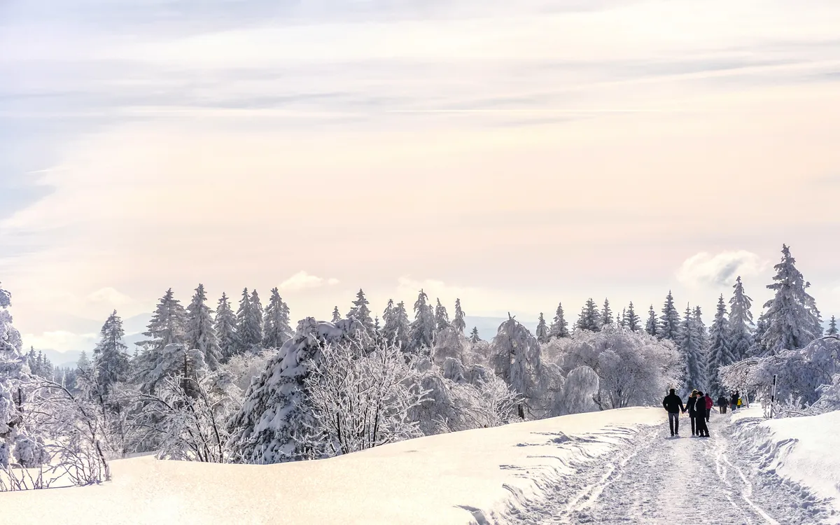 Winterlandschaft mit Spaziergänger