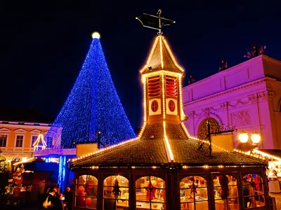 Potsdamer Weihnachtsmarkt mit beleuchtetem Baum und Pyramide bei Nacht.