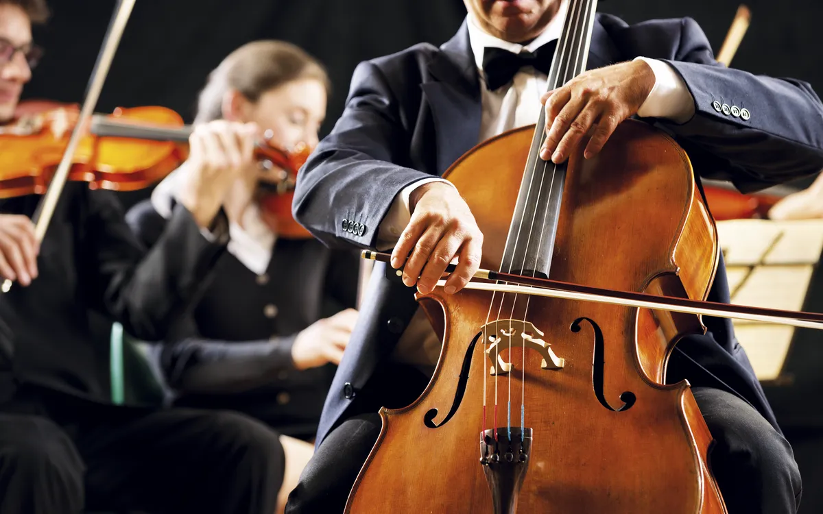Symphony orchestra performance: celloist close-up