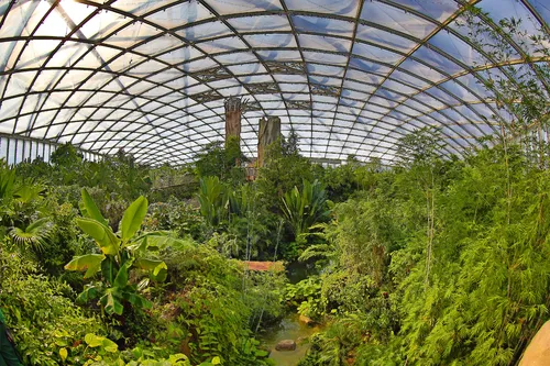 Zoo Leipzig: Gondwanaland Panoramaaufnahme mit Baumriesen