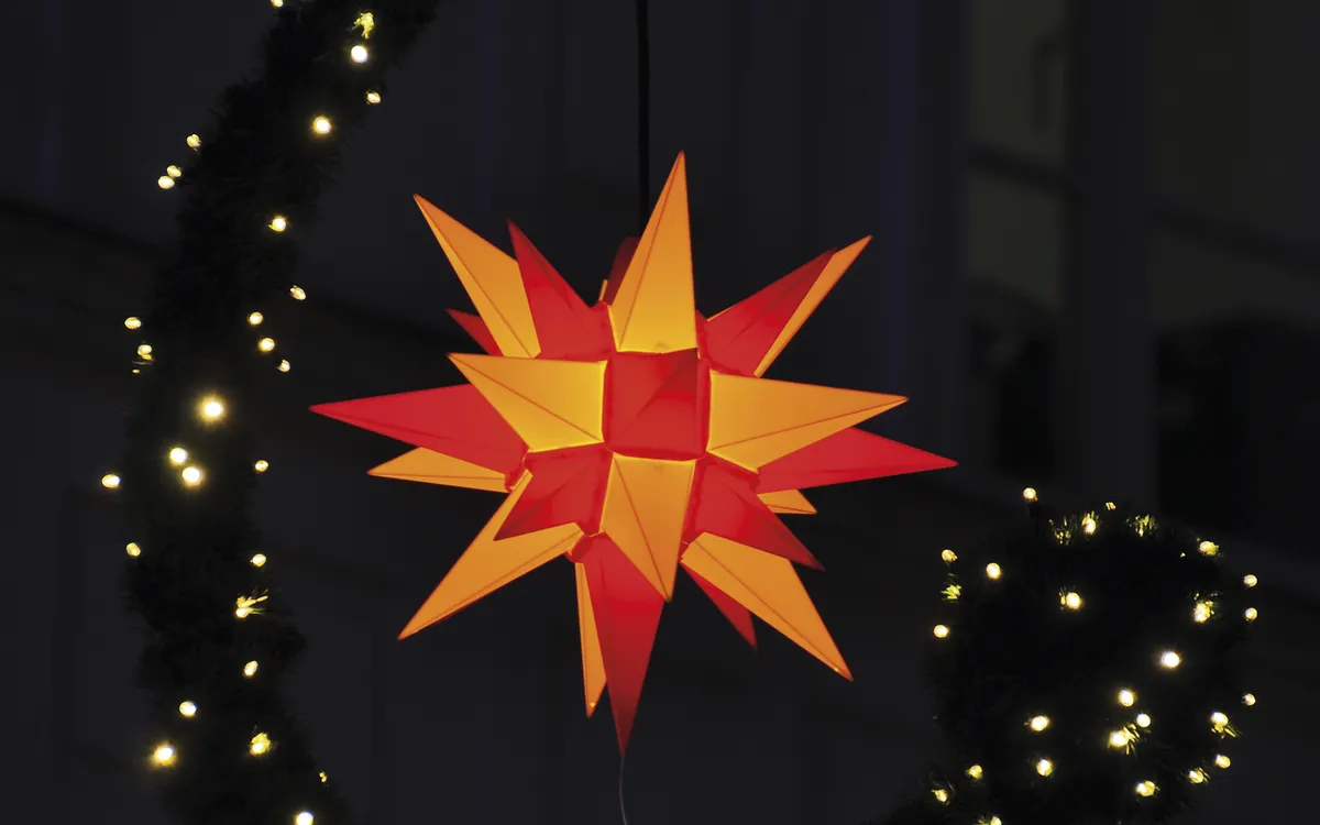 Leuchtender, gelb-roter Weihnachtsstern in einem Bogen von Tanne