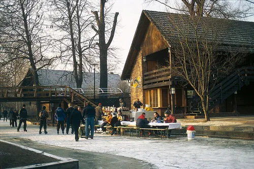 Gänsebraten