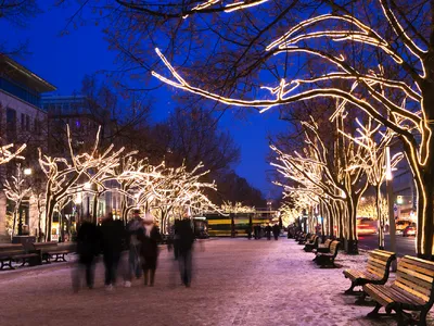 Lichterfahrt mit Weihnachtsmarkt