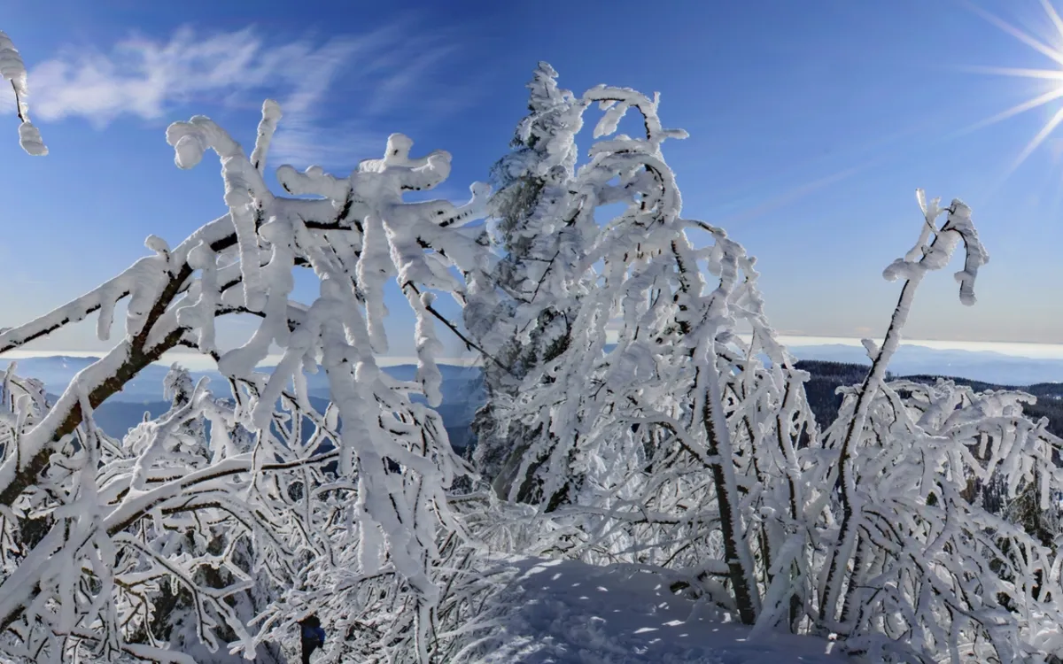 Großer Arber Winter