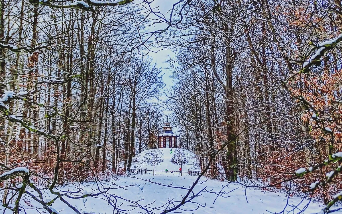 Winterliche Allee mit der Eremitage im Hintergrund, Bäume mit Schnee.
