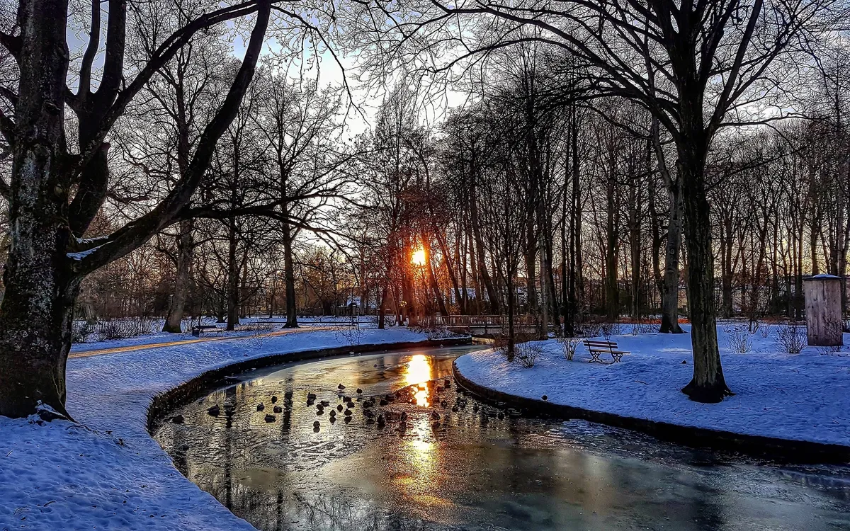 Verschneiter Park mit gefrorenem Bach und Sonnenuntergang im Hintergrund.