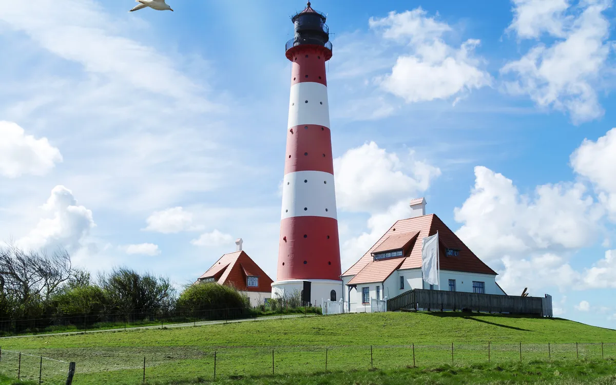 Schaf vor dem Leuchtturm Westerhever in Nordfriesland
