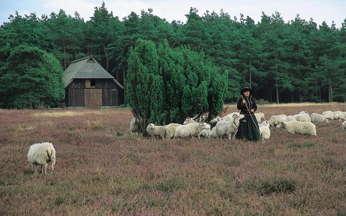 Osterzauber im Wendland und der Heide
