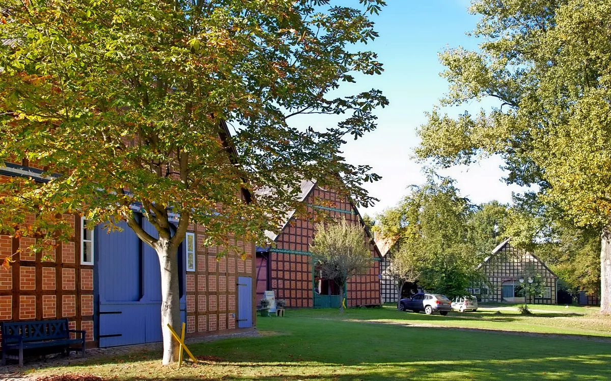 Fachwerkhäuser in einem Rundlingsdorf umgeben von Bäumen und Wiesen.