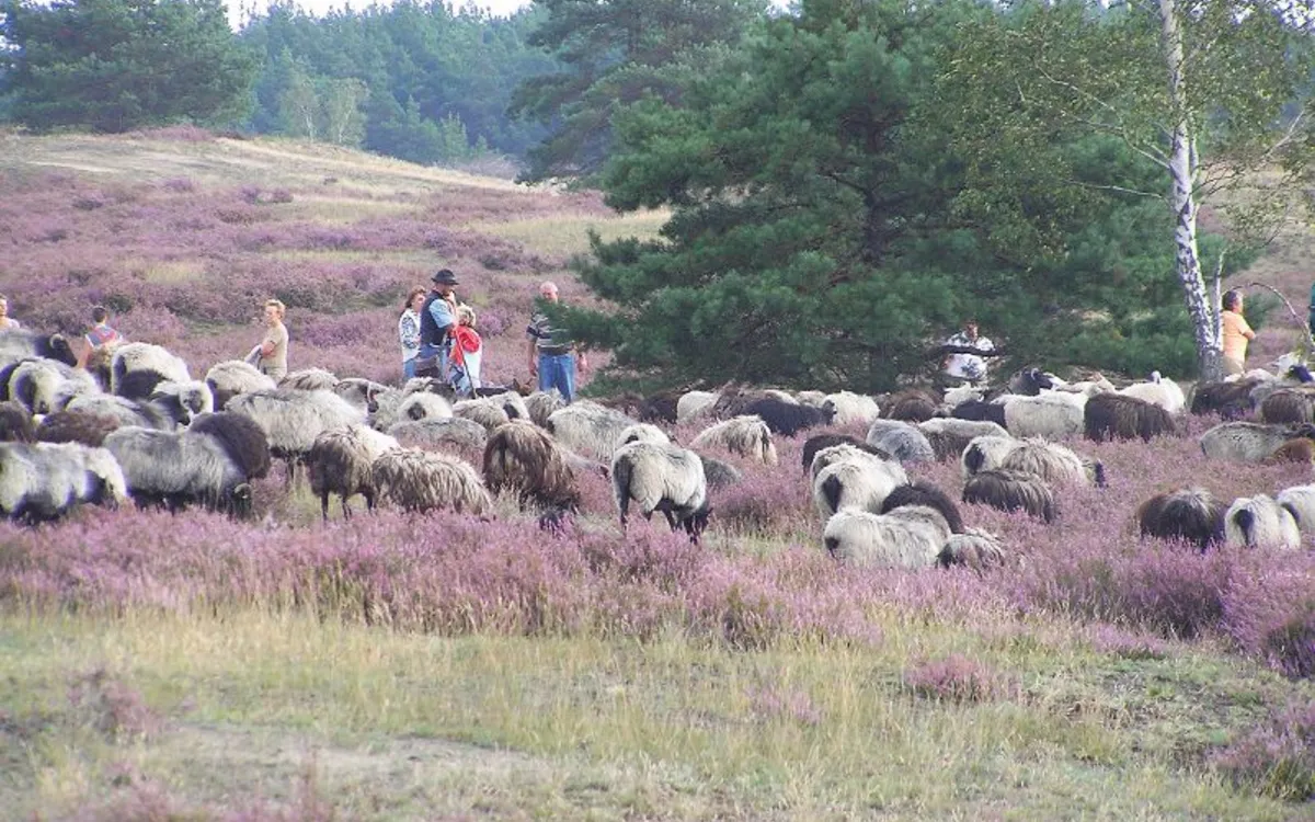 Osterzauber im Wendland und der Heide