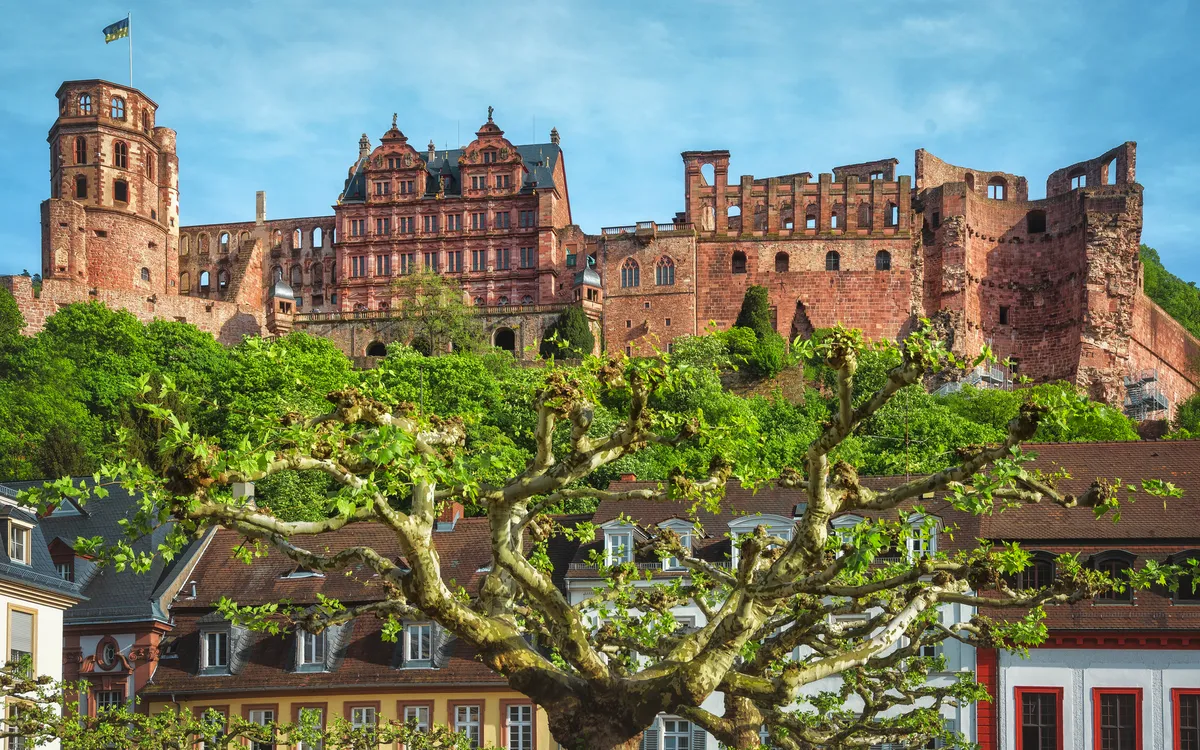 Heidelberger Schloss mit Altstadt und Bäumen im Vordergrund.