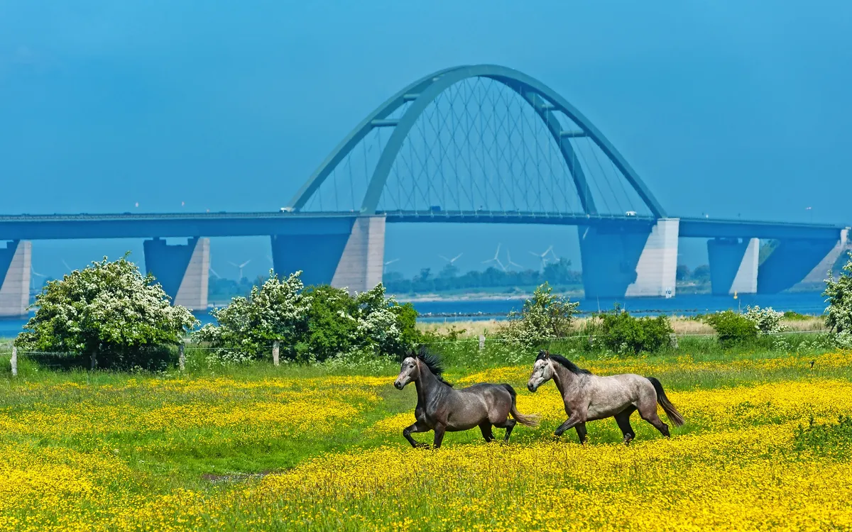 Fehmarnsundbrücke