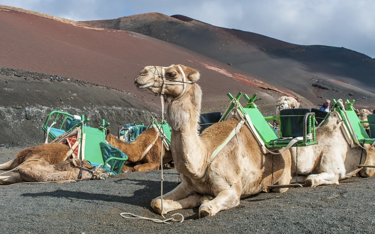 Lanzarote Arrecife