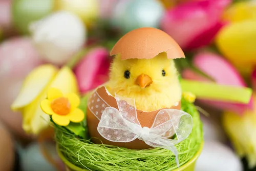 Küken schlüpft aus Osterei, umgeben von bunten Blumen.