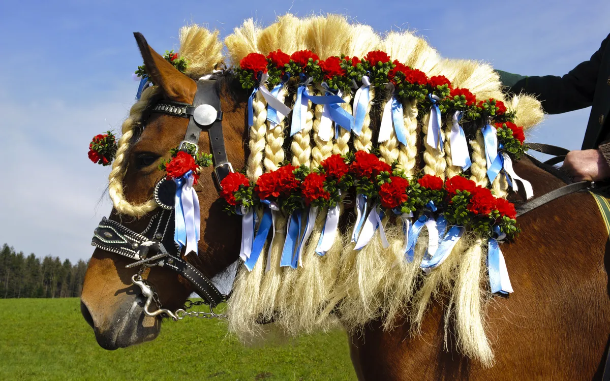 Geschmücktes Pferd beim Georgiritt in Bayern, Deutschland.