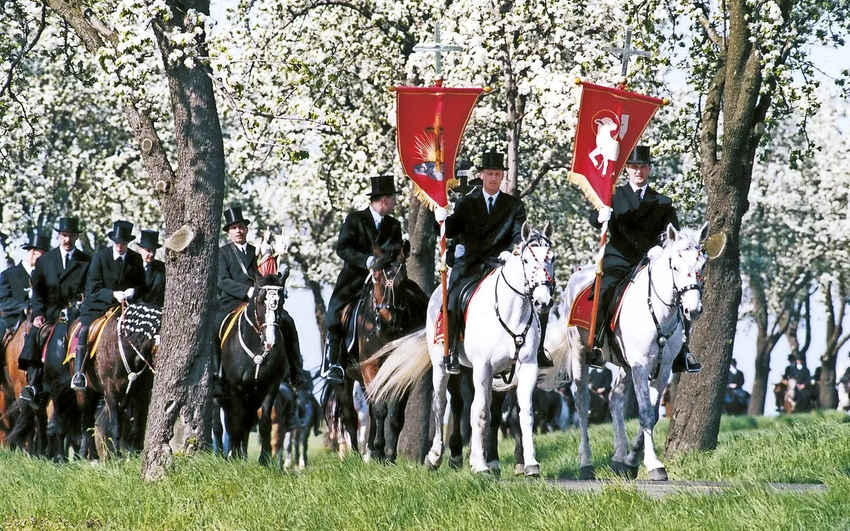 Reiter in festlicher Kleidung mit Bannern auf Pferden in einer Baumallee.