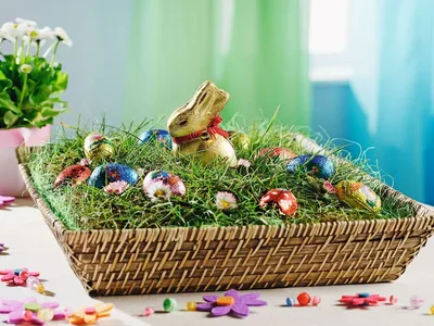 Korb mit Ostereiern, Schoko-Osterhasen und Moos dekoriert.