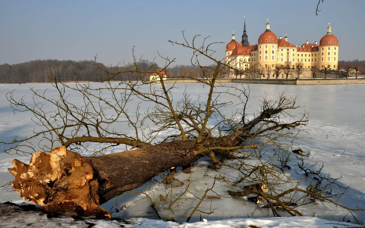 Baumstamm auf gefrorenem See mit Schloss im Hintergrund.