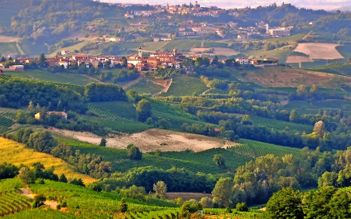 Landschaft mit grünen Hügeln und Weinbergen, im Hintergrund ein kleines Dorf auf einem Hügel.