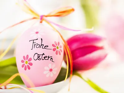 Osterei mit "Frohe Ostern" und Blüten, neben rosa Tulpe.