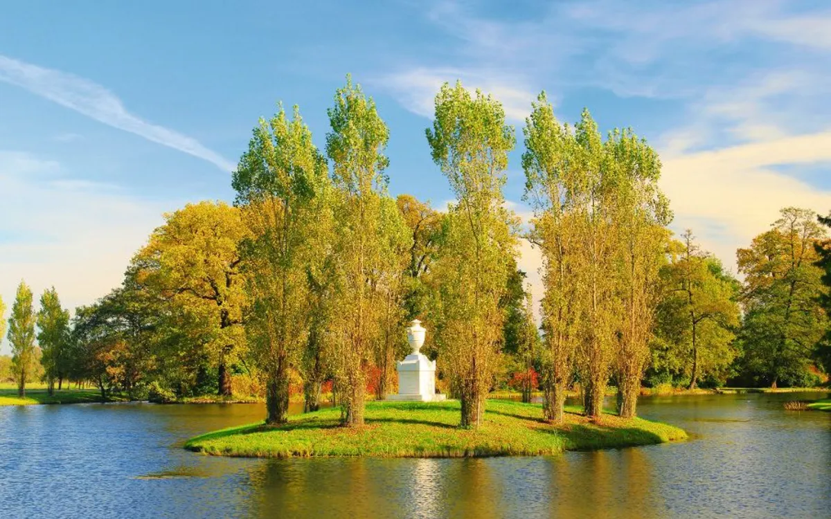Grüne Insel mit Bäumen und Statue in einem See bei sonnigem Wetter im Wörlitzer Park.