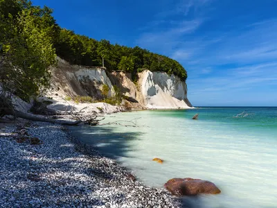 Kreidefelsen an einer Küste unter blauem Himmel, mit Kiesstrand und Bäumen.