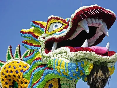 Chinesisches Neujahrsfest und Biosphäre Potsdam