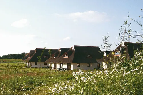Reetgedeckte Häuser im Grünen bei klarem Himmel.