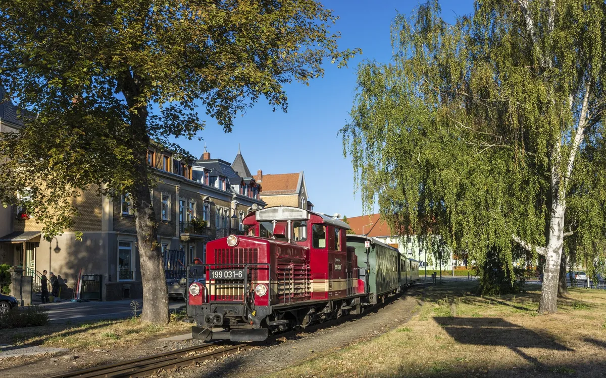 Roter Zug der Döllnitzbahn fährt durch eine von Bäumen gesäumte Straße.