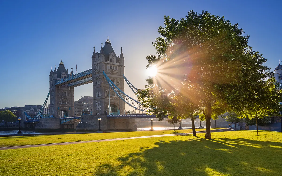 Tower Bridge in London bei Sonnenaufgang mit einem Baum im Vordergrund