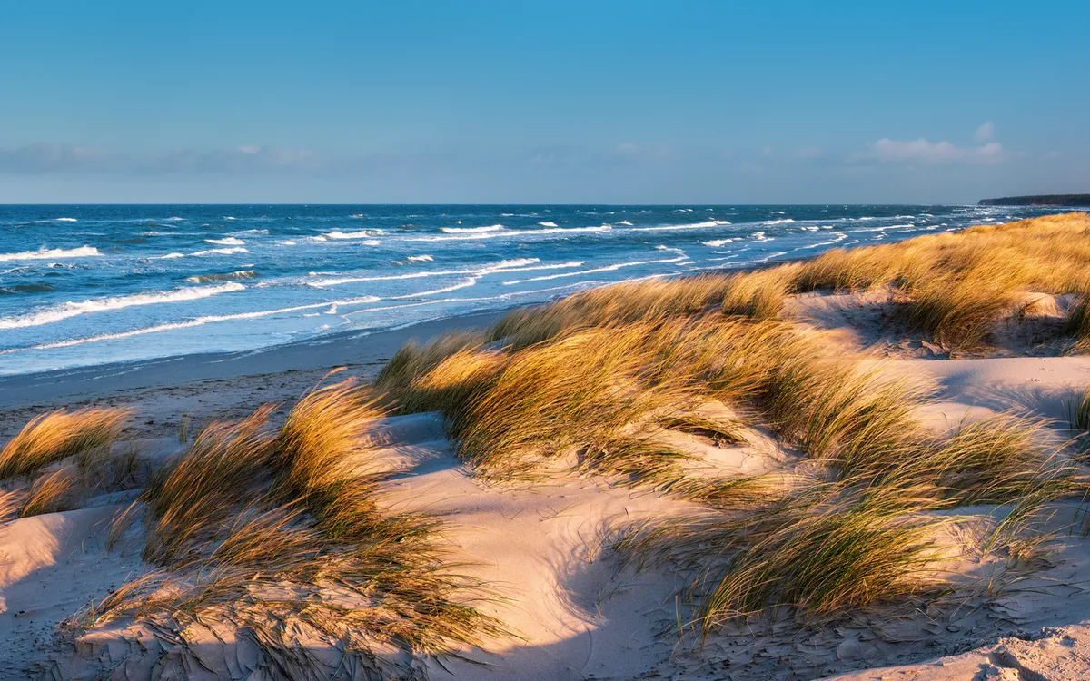 Sanddünen und Gräser an einem sonnigen Strand mit Blick aufs Meer.