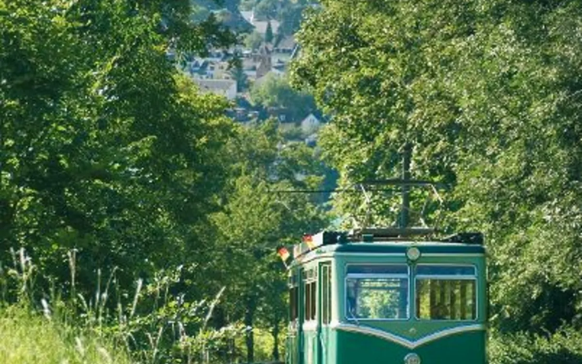 Frühlingserwachen am Rhein