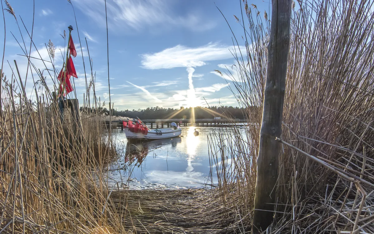 Hafen mit Holzbooten im Schilf bei Sonnenuntergang an der Ostseeküste.