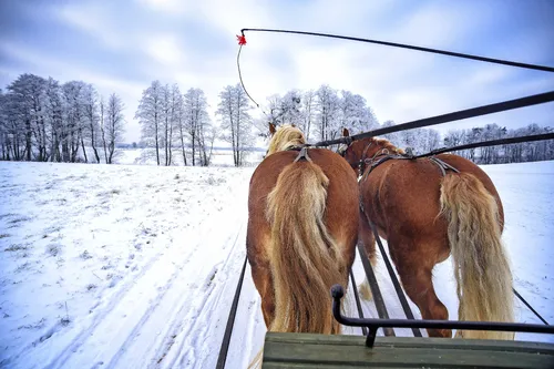 Schlittenfahrt im Winter in den Masuren, Polen