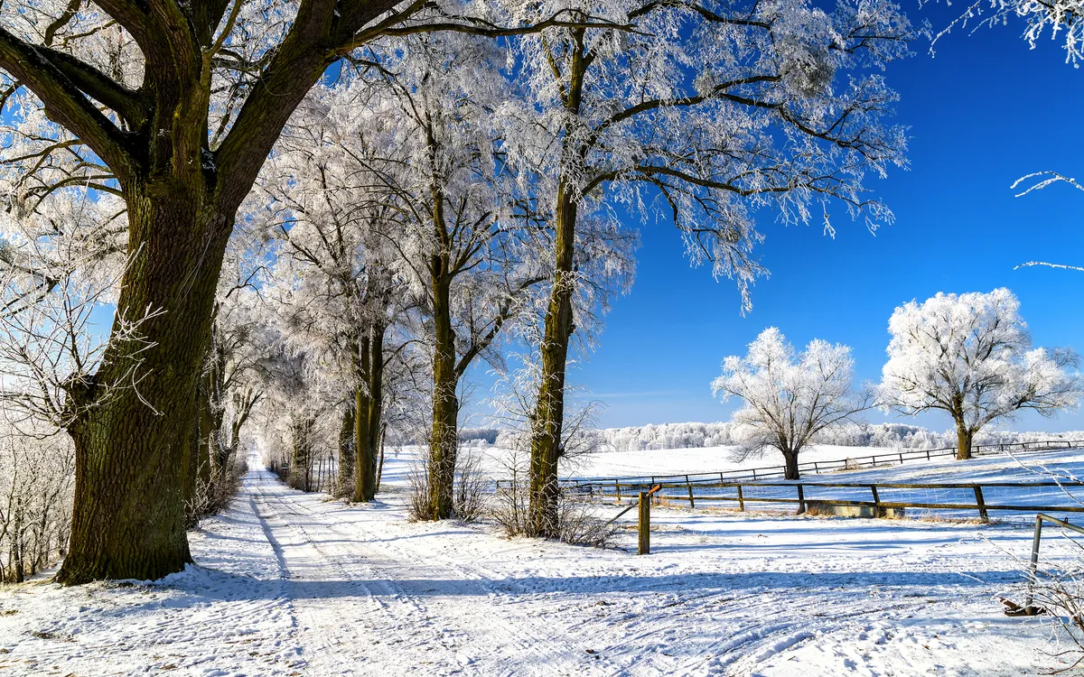 winterliche Masuren