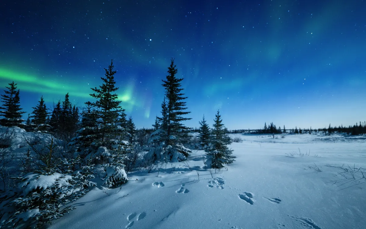 Aurora Borealis